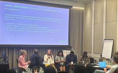Advancing Hepatitis in Global Fund GC8: Reflections from Two Critical Advocacy Moments